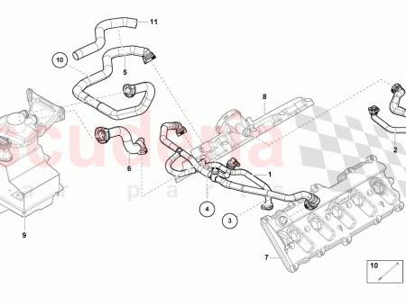Photo of ESCUDO T RMICO…