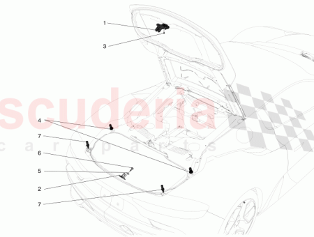 Photo of TORNILLO…