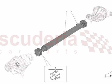 Photo of TORNILLO…