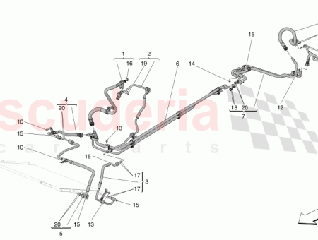 Photo of TORNILLO…
