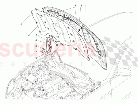 Photo of PANEL INTERIOR DEL CAP…