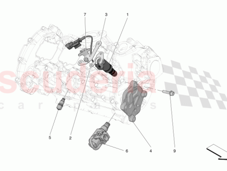 Photo of TORNILLO…