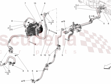 Photo of TORNILLO…