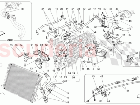 Photo of MANGUITO DE AGUA…