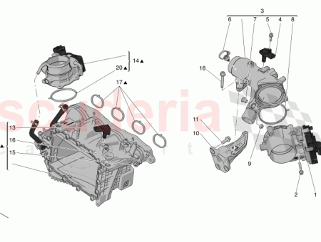 Photo of TORNILLO…