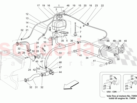 Photo of TAP N ROSCADO…