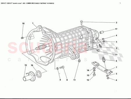 Photo of TORNILLO…