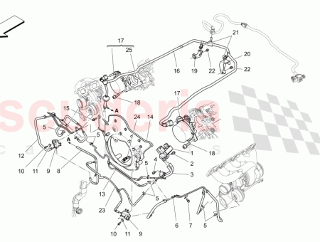 Photo of ESCUDO DEL CINTUR N…