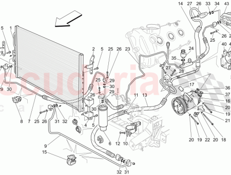 Photo of TUBO DEL FILTRO AL ESCUDO…