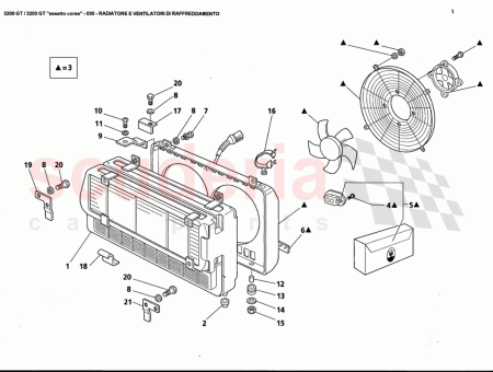 Photo of TORNILLO…