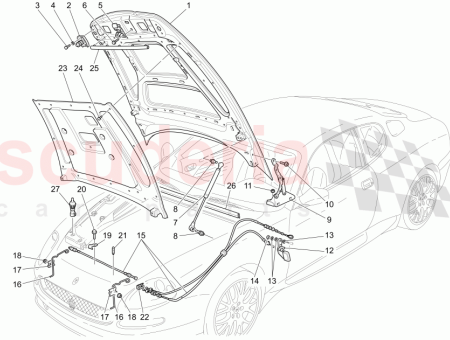 Photo of TORNILLO…