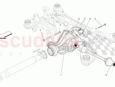 Photo of TORNILLO…