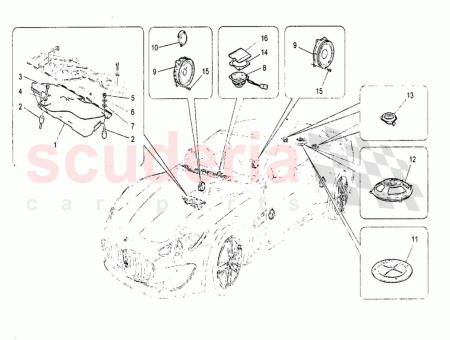 Photo of TORNILLO…