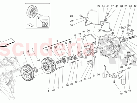 Photo of ANILLO RASCADOR…