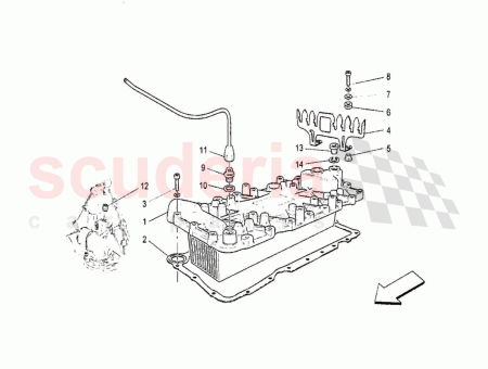 Photo of TAP N ROSCADO…