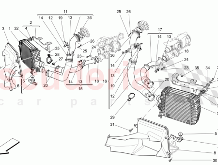 Photo of TORNILLO…