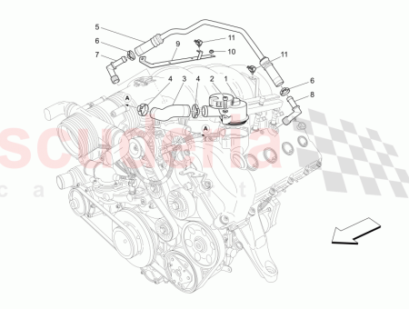 Photo of UNI N ROSCADA…