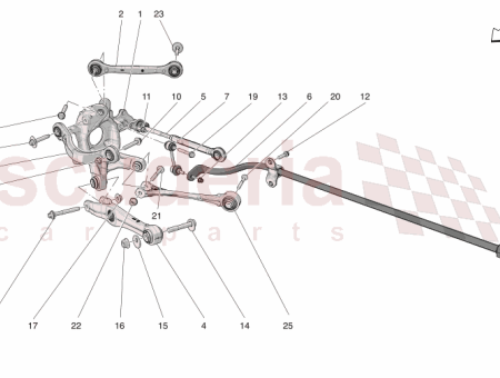 Photo of TORNILLO…