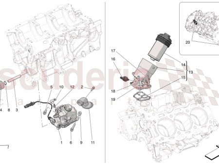 Photo of TORNILLO…