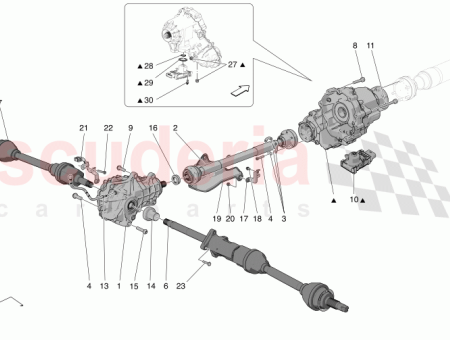 Photo of TORNILLO…