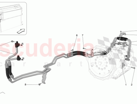 Photo of TORNILLO…