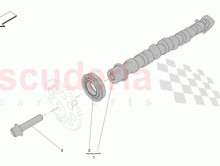 Photo of TORNILLO…